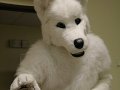 2010-07-01=CesFur 019.jpg